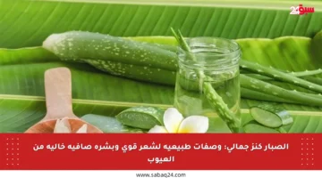الصبار كنز جمالي: وصفات طبيعية لشعر قوي وبشرة صافية خالية من العيوب